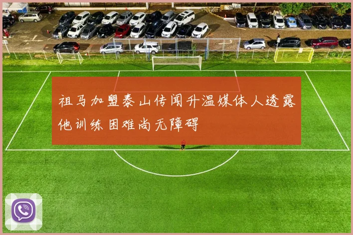 祖马加盟泰山传闻升温媒体人透露他训练困难尚无障碍
