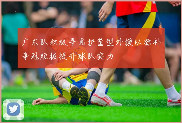 广东队积极寻觅护筐型外援以弥补争冠短板提升球队实力