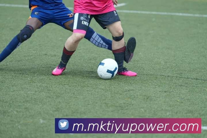 MK体育发展历程